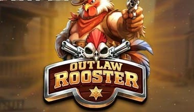 Outlaw Rooster